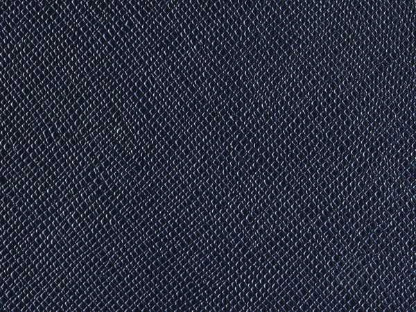 Black Snake Leather Seamless Pattern — Fotografia de Stock