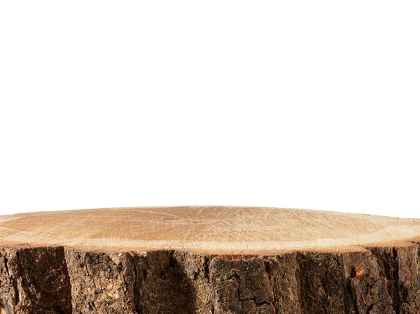 Natural Wood Texture Tree Stump White Background — Φωτογραφία Αρχείου