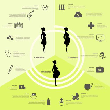 Pregnancy and birth infographics, pregnancy stages clipart