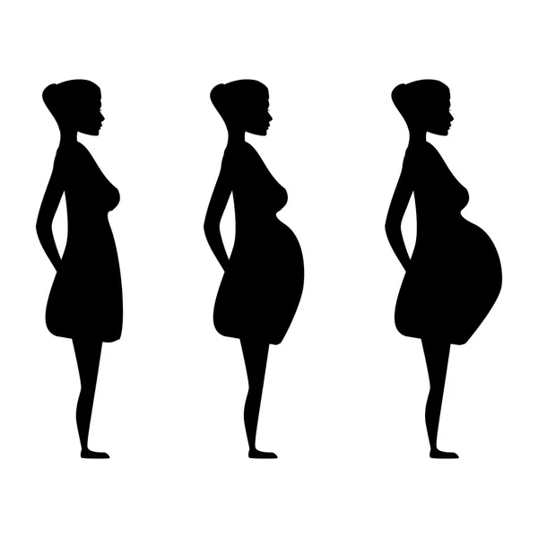 Pregnant women in the three trimesters. — Stock Vector