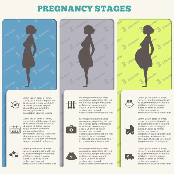 Pregnancy and birth infographics, pregnancy stages — Stock Vector