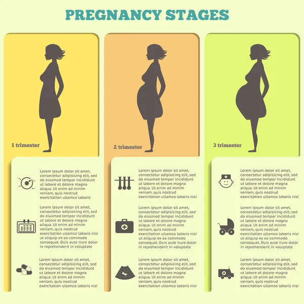 Schwangerschaft und Geburt Infografiken, Schwangerschaftsstadien — Stockvektor