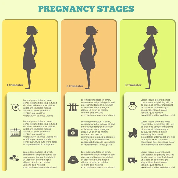 Těhotenství a porodu infografiky, fáze těhotenství — Stockový vektor