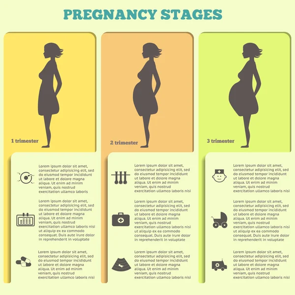 Gebelik ve doğum infographics, gebelik aşamaları — Stok Vektör