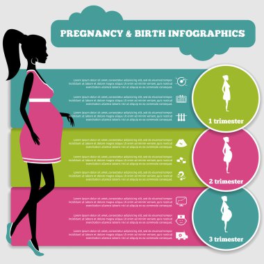 gebelik ve doğum infographics ve aşamaları