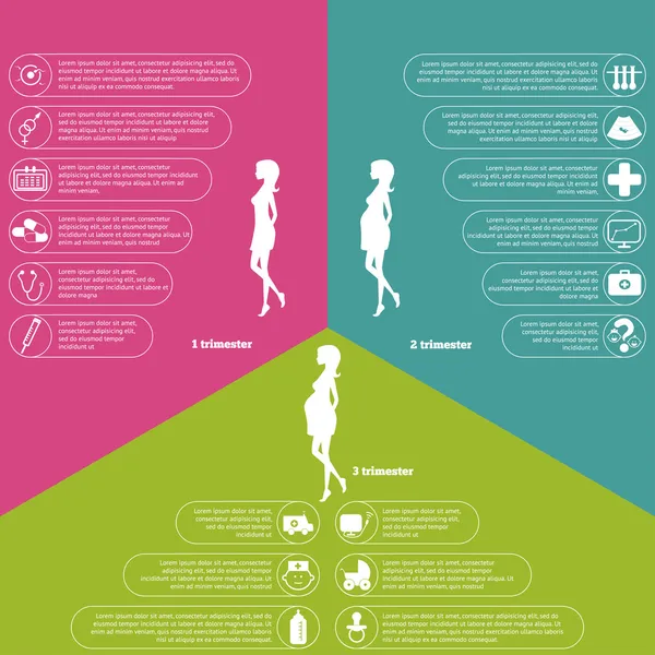 Embarazo e infografías y etapas del nacimiento — Vector de stock