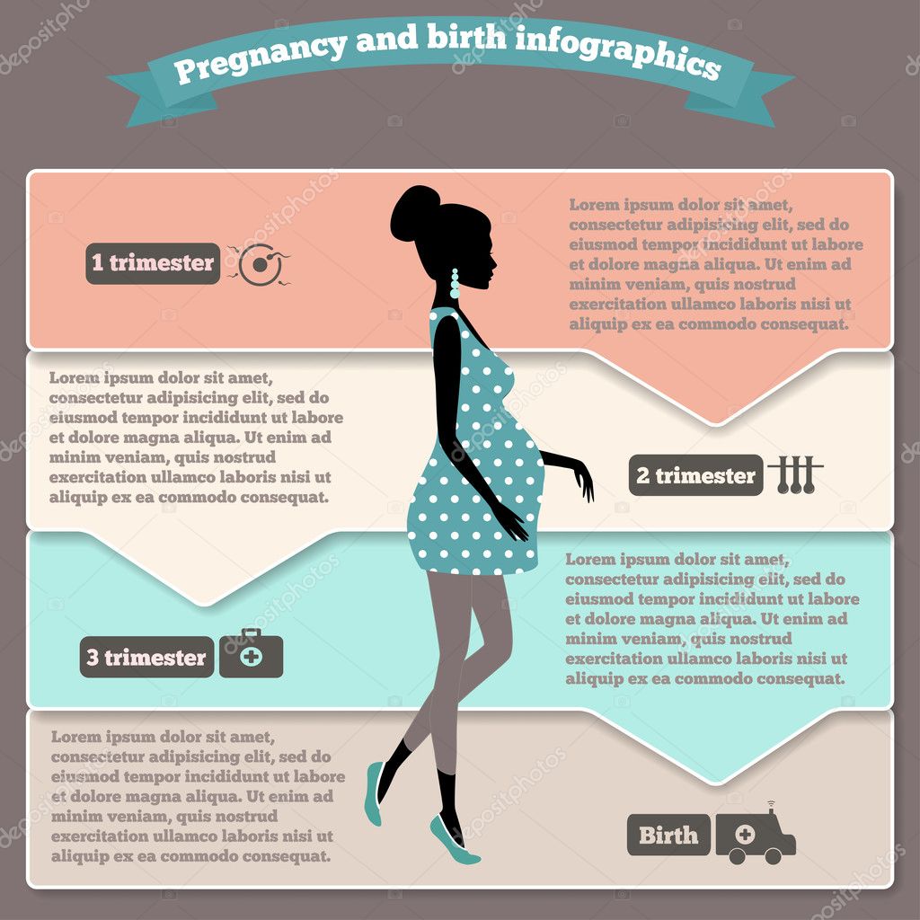Pregnancy and birth infographics and stages — Stock Vector