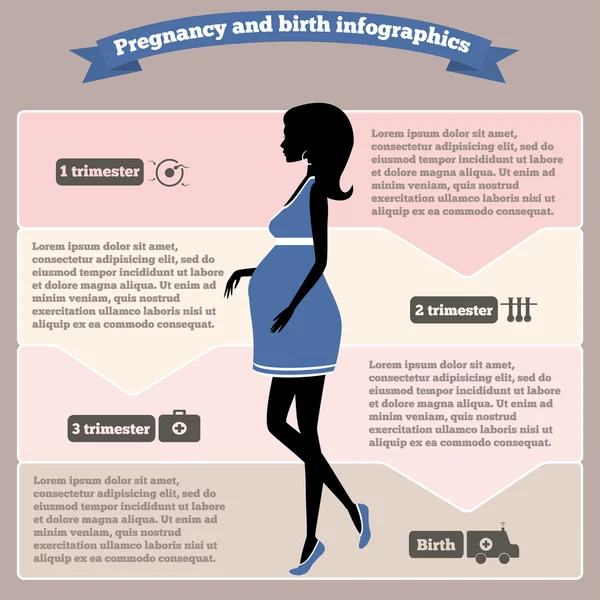 Infografica gravidanza e parto, fasi di gravidanza — Vettoriale Stock