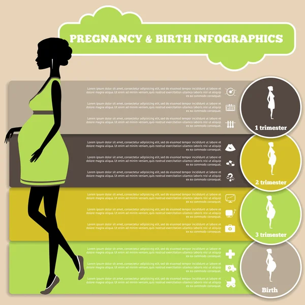 Těhotenství a porodu infografiky, fáze těhotenství — Stockový vektor