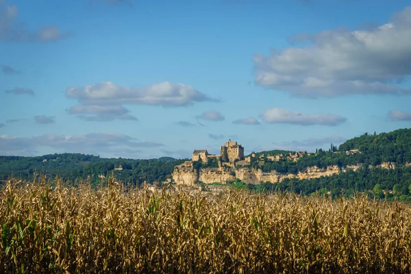 Alicante 'deki Tabarca Adası' nda Cova del Llop Mar. İspanya.