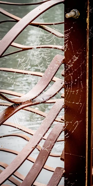 Красива Павутинна Тканина Росою — стокове фото