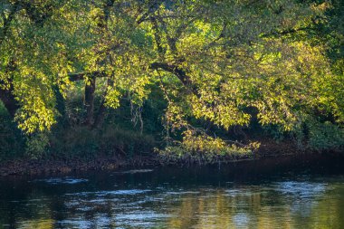 Les Eyzies 'deki Vezere nehrinin manzarası. Fransa. Ekim 2021
