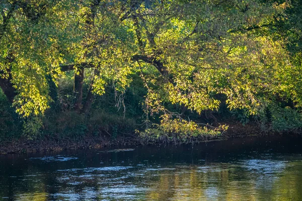 Les Eyzies 'deki Vezere nehrinin manzarası. Fransa. Ekim 2021