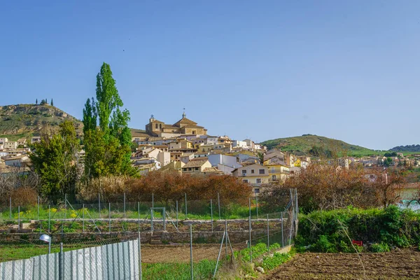 Pastrana 'nın manzarası. Guadalajara. İspanya.