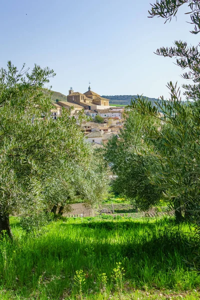 Pastrana 'nın manzarası. Guadalajara. İspanya.