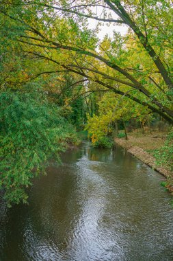 Sotillo Park 'taki River Carrion ve Palencia' daki Huerta del Obispo. İspanya.