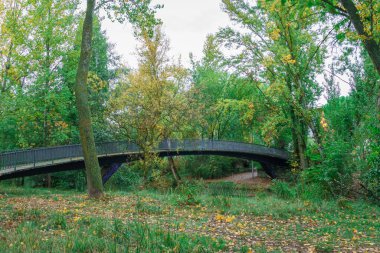 Sotillo Park ve Palencia Piskoposu Orchard. İspanya.