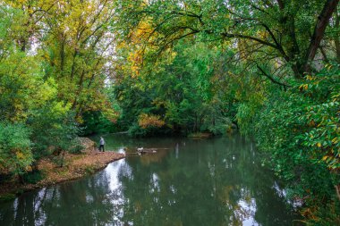 Sotillo Park 'taki River Carrion ve Palencia' daki Huerta del Obispo. İspanya.