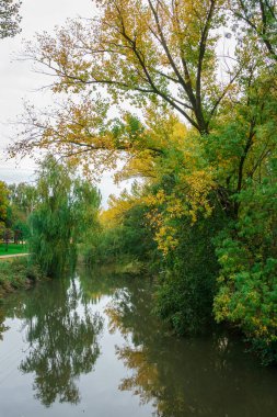 Sotillo Park 'taki River Carrion ve Palencia' daki Huerta del Obispo. İspanya.