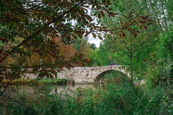 Ρωμαϊκή Γέφυρα Του Parque Sotillo Στην Palencia Ισπανία — Φωτογραφία Αρχείου