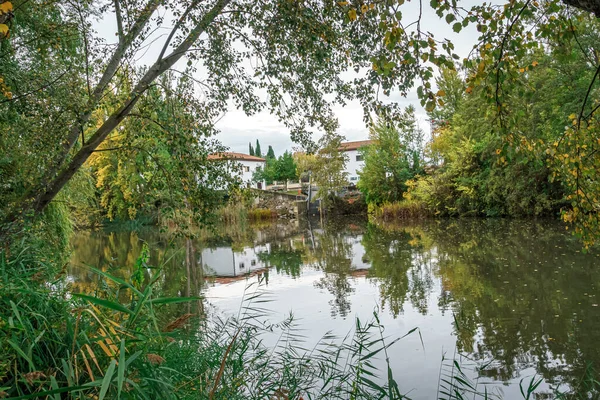 Парк Сотильо Епископский Сад Паленсии Испания — стоковое фото