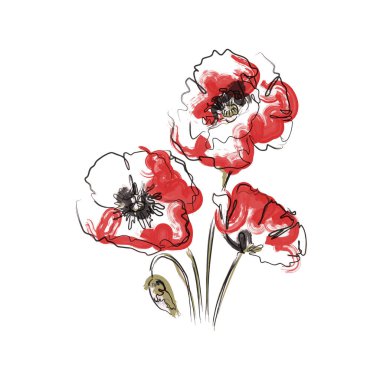 Abstract Three Red Poppy flowers. The effect of red gouache stains. Contemporary floral art style. Suitable for posters, logos and templates. Isolated on white background.