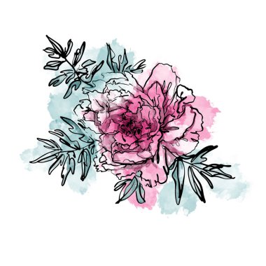 Elegant watercolor pink peony flower with leaves isolated on white background. Sketch linear floral drawing on colored spots for logo, avatar or art poster.