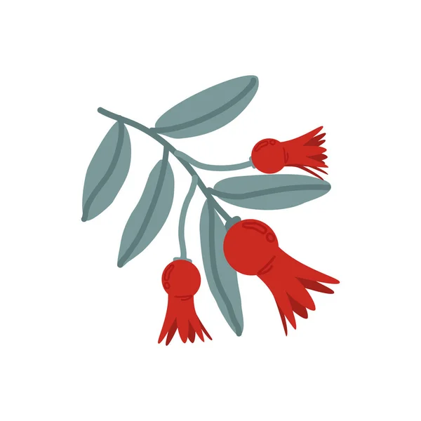 Vector pomegranate flowers illustration on white background. EPS in high resolution for floral design. Isolated Art. Design for cosmetics, spa, pomegranate juice, health care products, perfume.