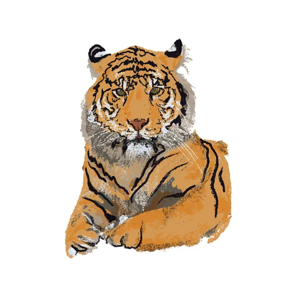 Hand drawn tiger portrait head vector isolated illustration. Big wild cat. Siberian tiger, Amur tiger, Bengal tiger Logo. Symbol of Chinese New Year 2022. Wildlife Art Poster