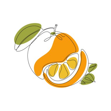 Continuous one line drawing. Orange or citrus fruit. Vector illustration. Minimal abstract art. Black linear art on white background with colorful spots