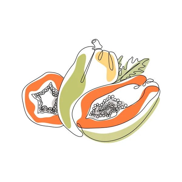 Black one line drawing. Exotic Papaya Fruit vector illustration. Minimal abstract art. Black linear art on white background