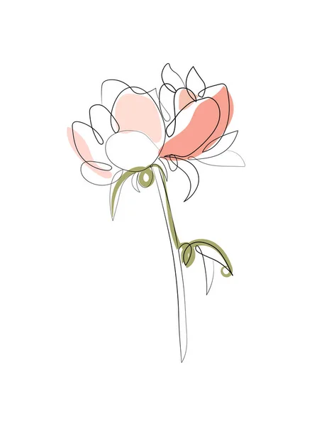 Peony Flower One Line Art Vector Illustration Simple Art Trendy — 스톡 벡터