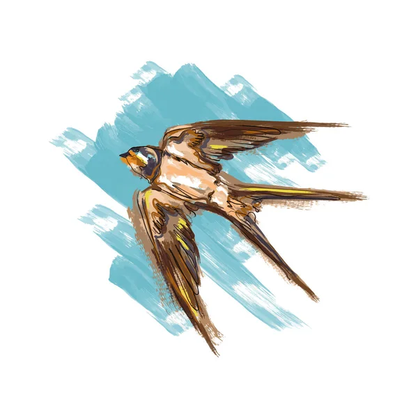 A flying swallow in an acrylic painted style with a blue spot on the background. Symbol of freedom. Animal world, birds, flight. Modern vector illustration.