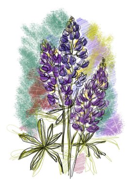 Tasarım için yeşil ve mavi arka planda yağlı kalemlerde yaprakları olan soyut mavi üç lupin çiçeği dalı. El çizimi sanat baskısı.