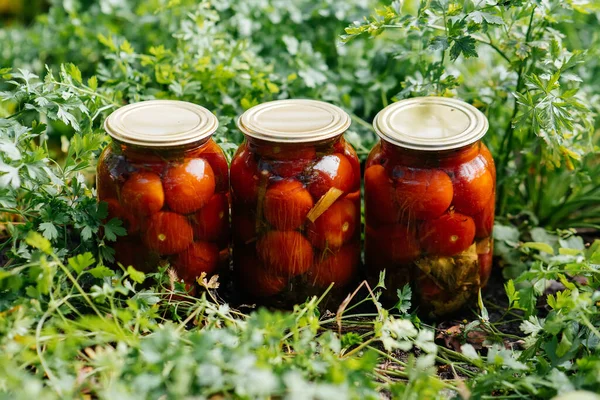 Legumes Enlatados Latas Estão Meio Jardim Colheita Preparação Mantimentos Para — Fotografia de Stock