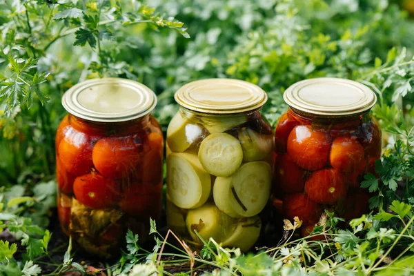 Canned vegetables in cans are in the middle of the garden. Harvesting and preparing supplies for the winter