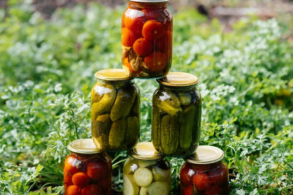 Canned vegetables in cans are in the middle of the garden. Harvesting and preparing supplies for the winter