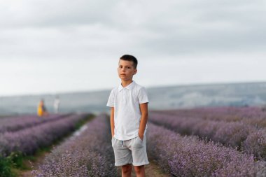 Yedi yaşında bir çocuk lavanta tarlasında yürüyor ve doğanın tadını çıkarıyor. Lavanta çiçekleri.