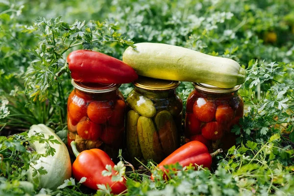 罐头中的罐头蔬菜在花园的中央 收集和准备冬季用品 — 图库照片
