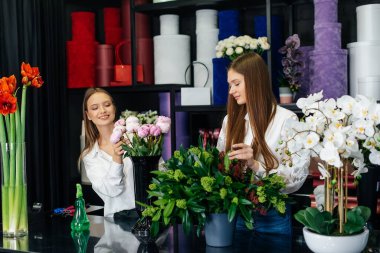 İki genç kadın telefonla sipariş alır ve rahat bir çiçekçide güzel şenlik buketleri yaparlar. Çiçekçi dükkanında çiçek buketi yapıyorlar. Küçük işletme.