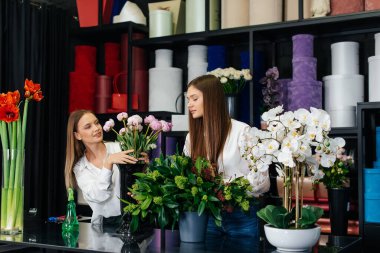 İki genç kadın telefonla sipariş alır ve rahat bir çiçekçide güzel şenlik buketleri yaparlar. Çiçekçi dükkanında çiçek buketi yapıyorlar. Küçük işletme.