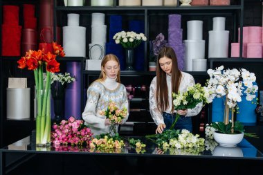 İki genç kadın telefonla sipariş alır ve rahat bir çiçekçide güzel şenlik buketleri yaparlar. Çiçekçi dükkanında çiçek buketi yapıyorlar. Küçük işletme.