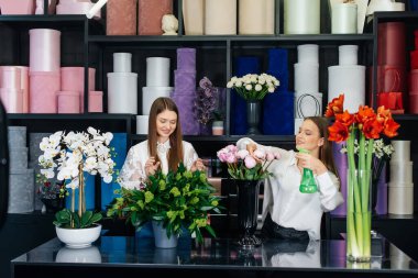 İki genç kadın telefonla sipariş alır ve rahat bir çiçekçide güzel şenlik buketleri yaparlar. Çiçekçi dükkanında çiçek buketi yapıyorlar. Küçük işletme.