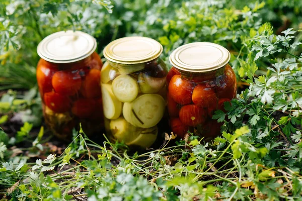 Canned vegetables in cans are in the middle of the garden. Harvesting and preparing supplies for the winter