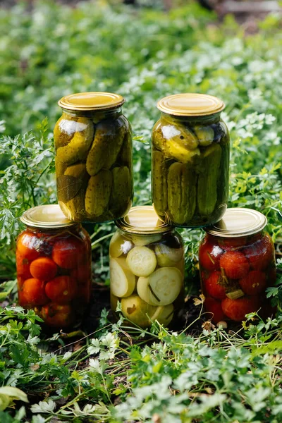 Canned vegetables in cans are in the middle of the garden. Harvesting and preparing supplies for the winter