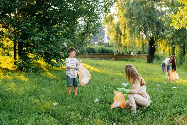 日落时一群成年人和小孩在公园里一起收集垃圾 环境保护 废物回收利用 垃圾分类 免版税图库图片