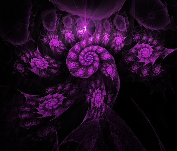 Violeta fractal fondo ilustración colorido en negro backgro —  Fotos de Stock