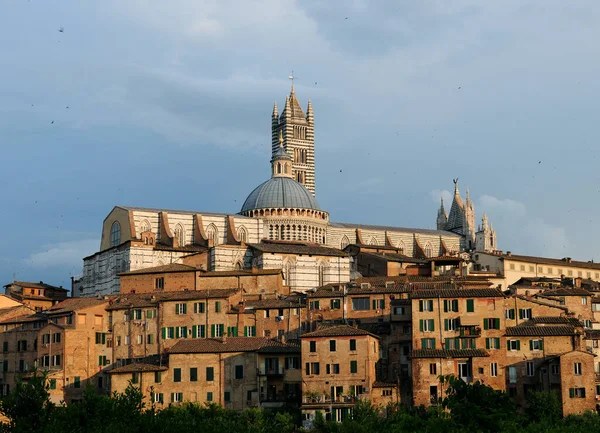 Cityscape Siena Toscana Itália Com Famosa Catedral Uma Bela Primavera — Fotografia de Stock