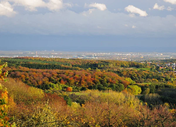 Vista Aérea Desde Zauberberg Ruppertshain Follaje Alrededor Frankfurt Main Hesse — Foto de Stock