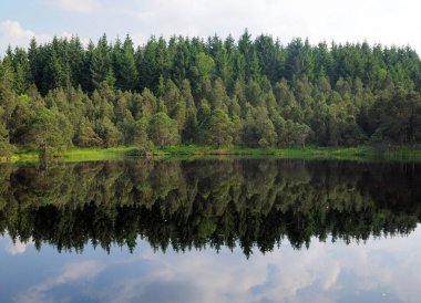 Güneşli güzel bir yaz günü, mavi bir gökyüzü ve birkaç bulutla birlikte, Triberg Kara Ormanı 'nın yakınlarındaki sakin yüzeyde yansımaları olan Idyllic küçük Blindensee Gölü.